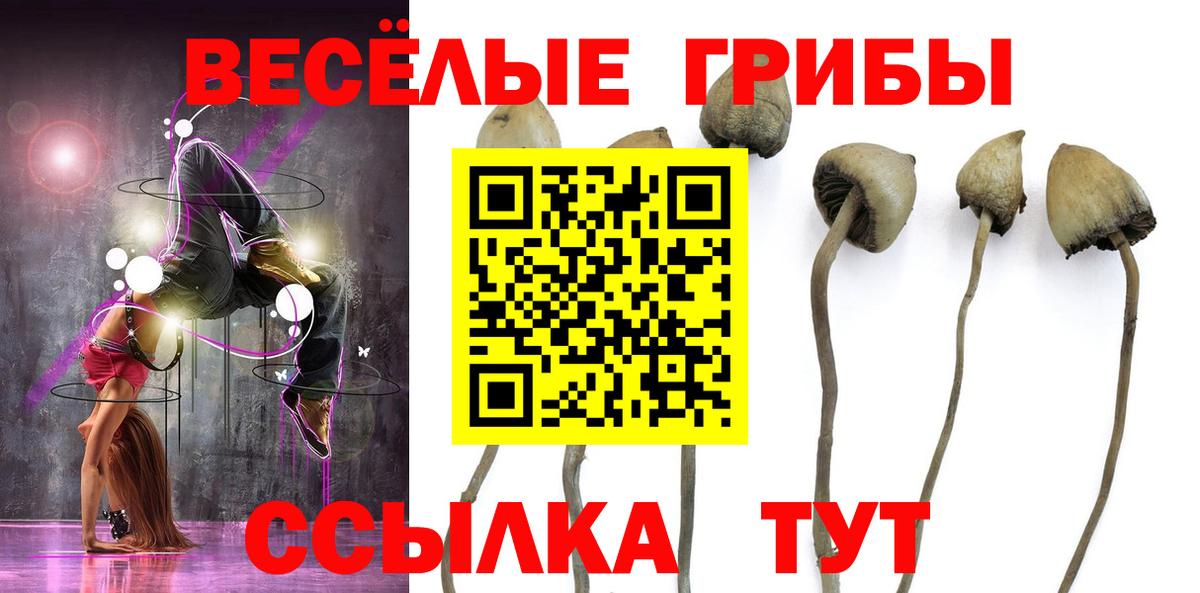 Псилоцибиновые грибы мухоморы  Вход с VPN  Тула  Псилоцибиновые грибы GOLDEN TEACHER 