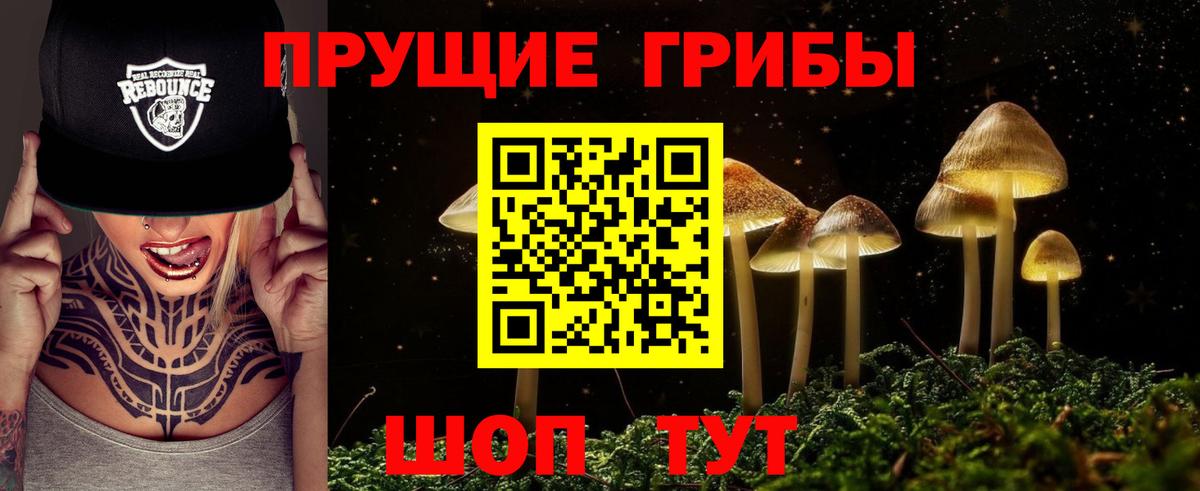 Галлюциногенные грибы мицелий Тула